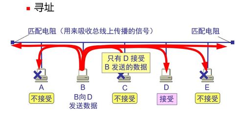 計算機網絡體系結構 數據鏈路層